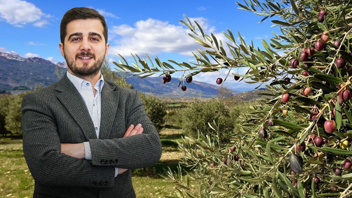 Zeytinlik tapusu olan araziye ev yapılır mı? 4 kritik soru – 4 yanıt
